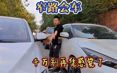 窄路会车，别再傻傻的凭感觉了，教你一招，新手也能轻松避免剐蹭 哔哩哔哩 Bilibili