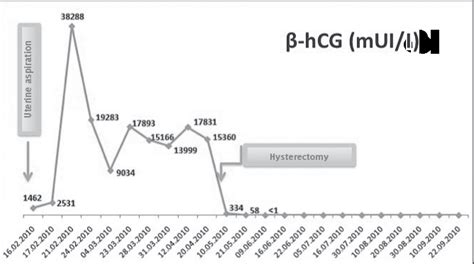 Time Evolution Of Serum Hcg Levels Hospital Prof Dr Fernando