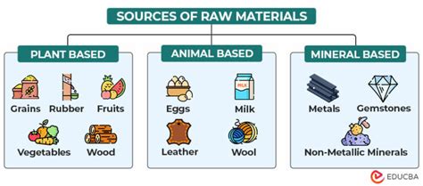 Raw Materials Meaning | Types, Sources & Examples | EDUCBA