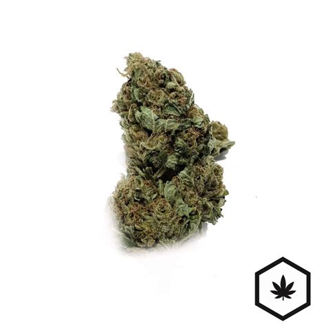 Budget Buds Tangerine Dream Cheap Weed Buyweedpacks