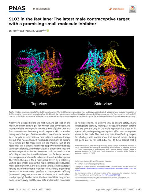 PDF SLO3 In The Fast Lane The Latest Male Contraceptive Target With