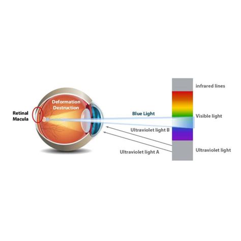 Led Bulb Gu W Full Spectrum Sunlike Crystal Lm Cri