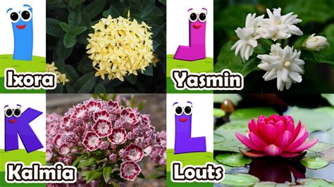 Flowers Alphabet Song Flowers Abc Song A To Z Flowers Names