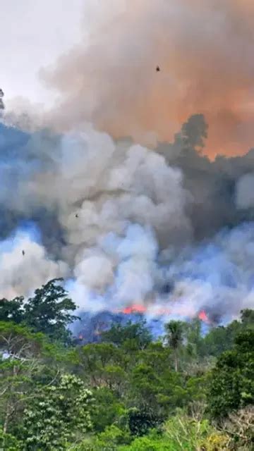 Karhutla Di Sumsel Tak Kunjung Padam Meski Dihujani Juta Liter