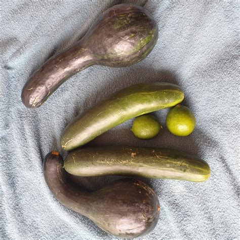 My Big Veggy Ready To Ram My Asshole 47 Nude Pics XHamster