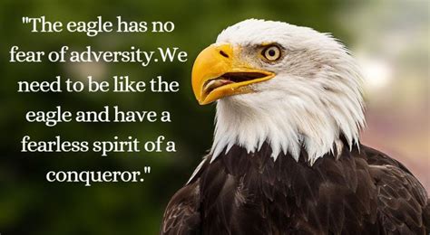 Best Motivational Eagle Quotes Eagle Attitude