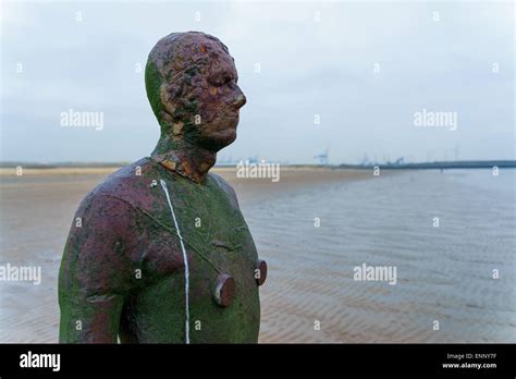 One Of The Statues In The Another Place Installation By Antony Gormley