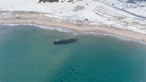 A Ghostly Shipwreck Has Emerged In Newfoundland Ctv News