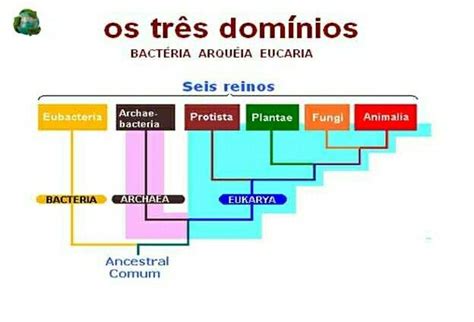 Diagrama De Venn Para Dominios De Bacteria Archea Y Eukarya