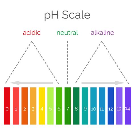 Horizontal pH scale for measuring acid alkaline balance. Chemical value ...