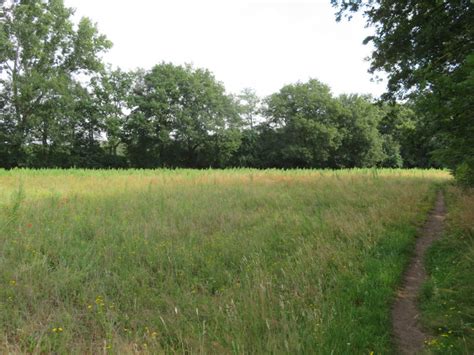 Wandelroute Ommetje Dommelbeemden Nijnsel Te Noord Brabant