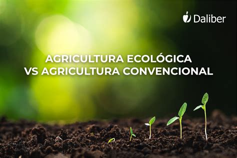 Agricultura Ecol Gica Vs Agricultura Convencional Daliber