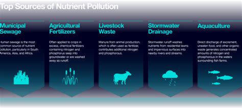 Nitrogen Pollution - The Biggest Environmental Threat | UPSC Essay & Notes