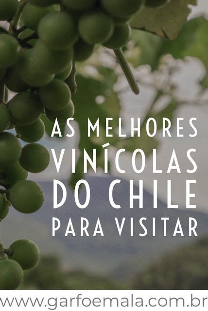 Melhores Vinícolas do Chile para Visitar Chile Destinos de ferias