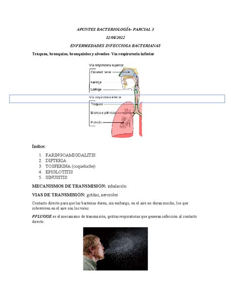 Apuntes BacteriologíA APUNTES BACTERIOLOGÍA PARCIAL 3 12 08