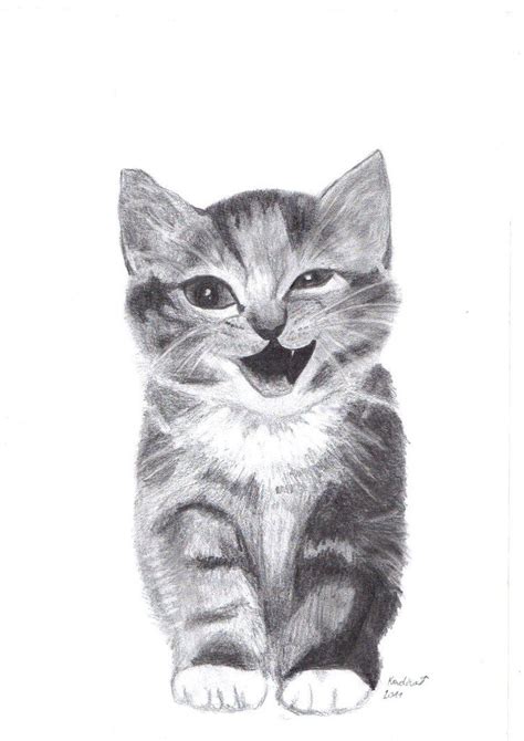 Very cute kitten | Cute drawings, Drawings, Cat drawing