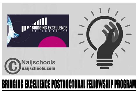 Bridging Excellence Postdoctoral Fellowship Program 2024 Naijschools