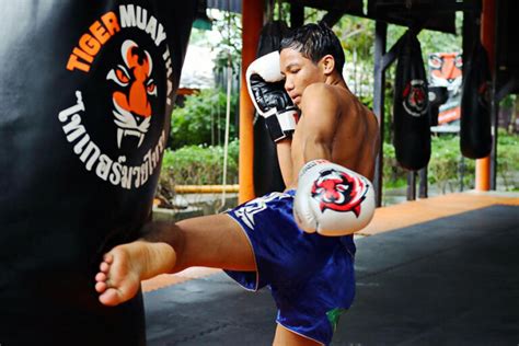 Tiger Muay Thai The Phuket Powerhouse That Became A Global Fitness