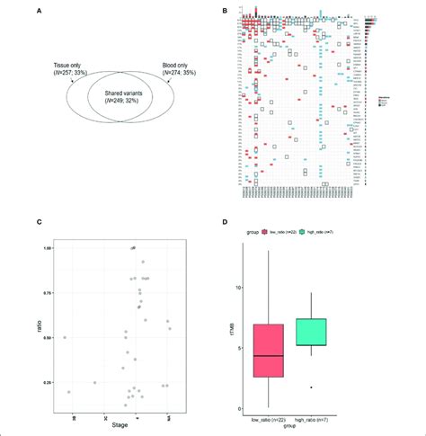 The Concordance Of Mutation Between Ctdna And The Corresponding Tumor Download Scientific