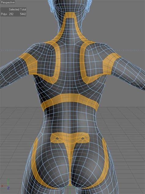 Imgur Anatomy Models Model 3d Topology