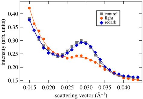 Biomolecules Free Full Text Small Angle Neutron Scattering For