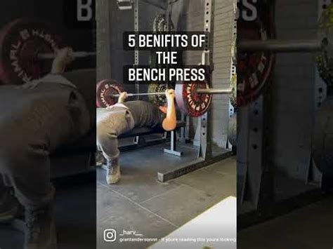 Benefits Of Bench Press YouTube