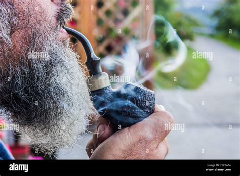 Happy Old Man Smokes The Tobacco In His Pipe With Pleasure Among Sweet