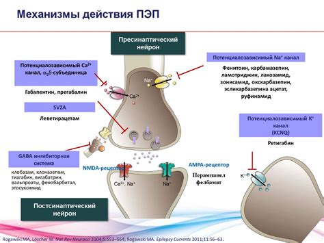 Сейзар: инструкция по применению, отзывы и аналоги