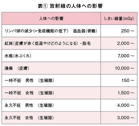 ★放射線の人体への影響★ 春日部さくら病院 職員ブログ