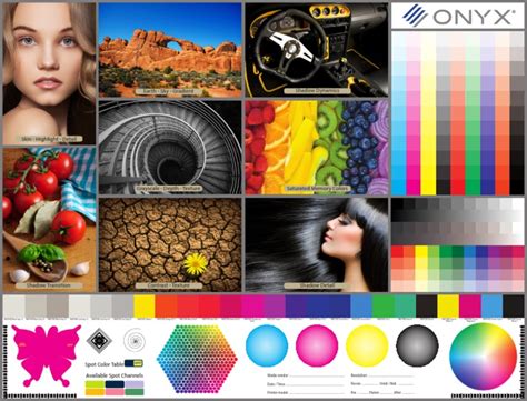 ONYX Quality Evaluation PDF | PDF | Yellow | Magenta