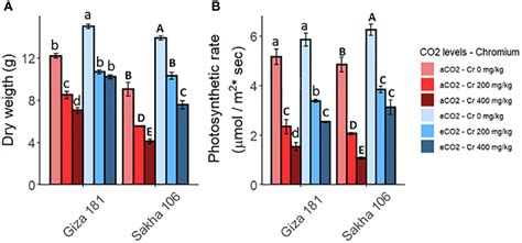 Frontiers The Impact Of Chromium Toxicity On The Yield And Quality Of