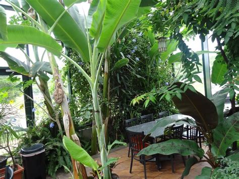 an outdoor dining area with lots of green plants