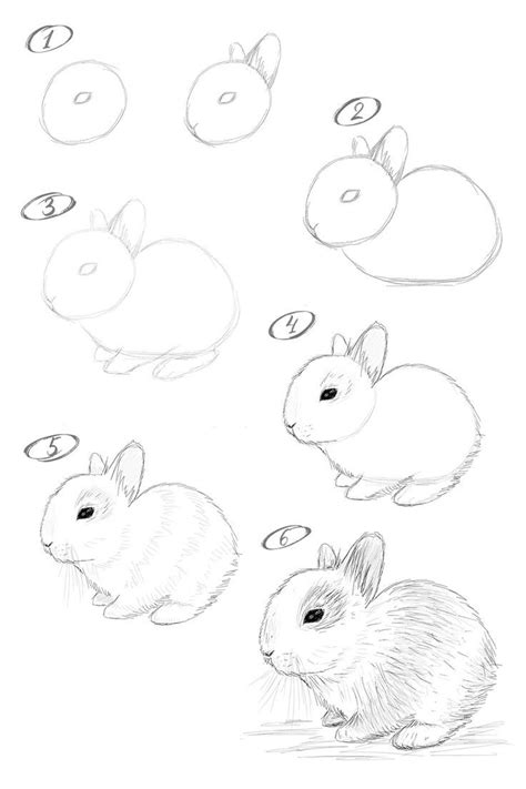 How To Draw A Bunny Step By Step Drawing Tutorial Cool Pencil