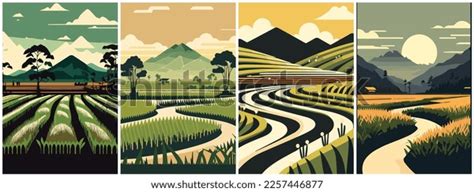 Vector Art Rice Field Farm Cartoon Stock Vector (Royalty Free) 2257446877 | Shutterstock