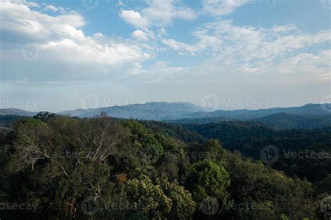 high angle tropical forest and road into the forest 6583587 Stock Photo at Vecteezy