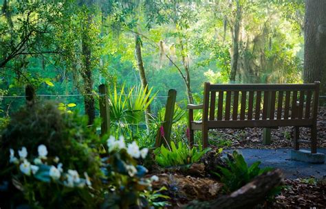 Beautiful Gardens In Jacksonville To Check Out This Spring