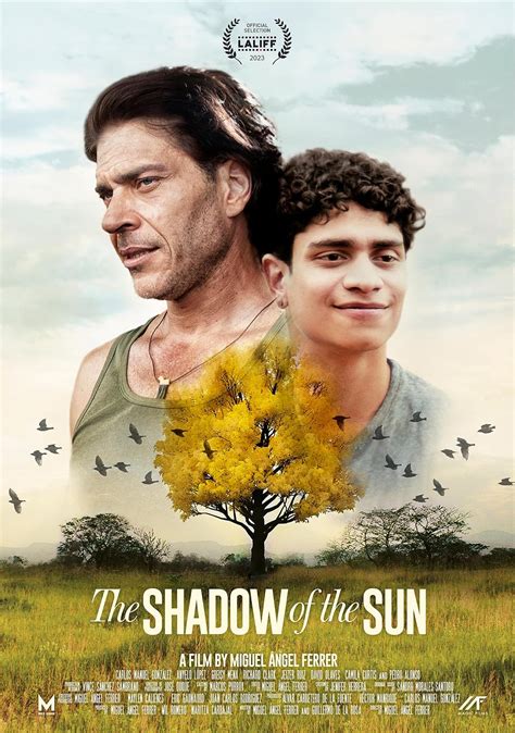 Shadow Of The Sun