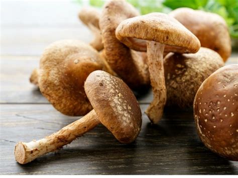 Hongos Shiitake Qué son y cuáles son sus propiedades