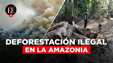 La Amazonía ahora emite más carbono del que retiene El Espectador