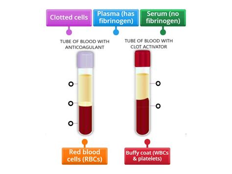 Mla Week Blood Layers Anticoagulated Vs Clot Activator Tubes