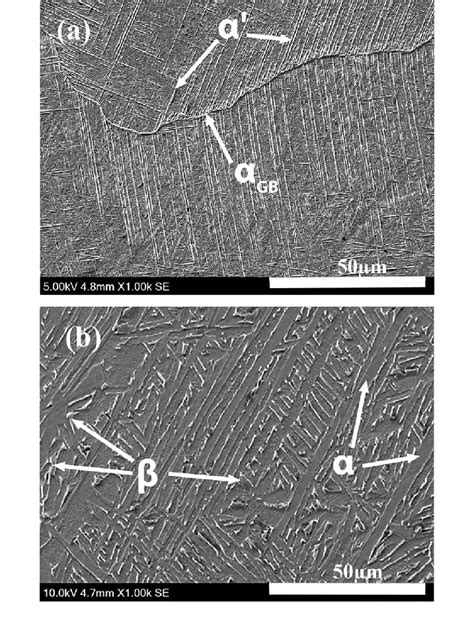 Sem Images Of The Microstructure Of Ti Al V Produced By Slm A Only