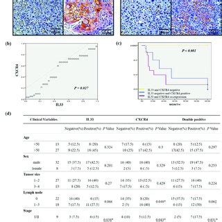 Immunohistochemical Analysis Of IL 33 And CXCR4 Expression And The