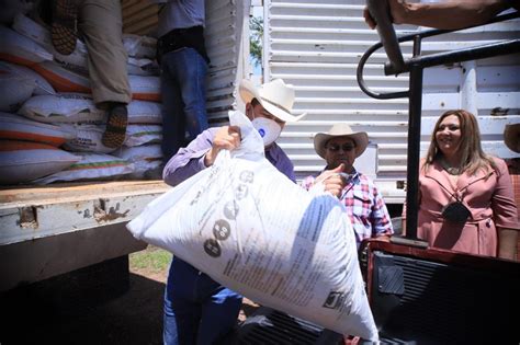 Entregan Sdayr Y Municipio Fertilizante A Productores De Tarimoro