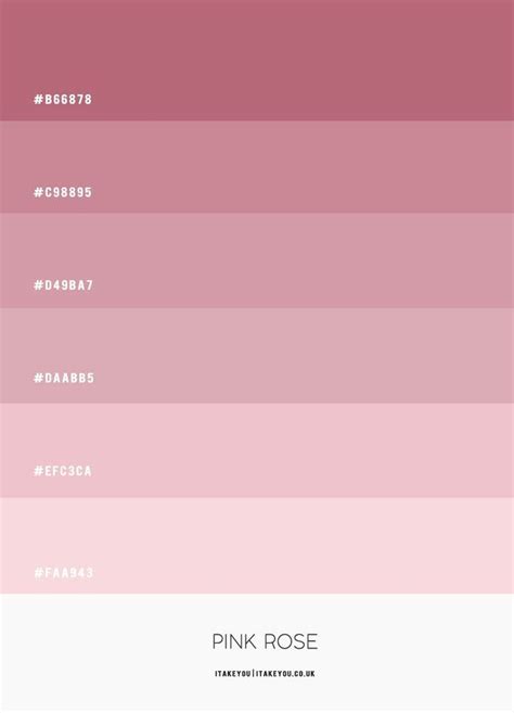 Color Palette Pink Hex Color Palette Pantone Colour Palettes