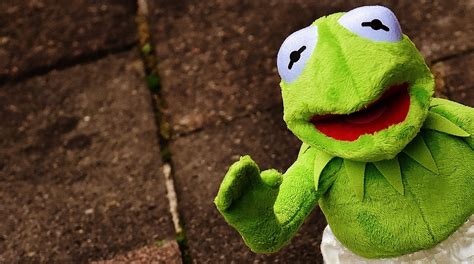 Kermit Frosch Lustig Kostenloses Foto Auf Pixabay