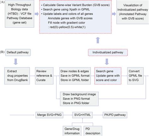 Pathway Analysis And Modeling Procedure A Three Phases Of Pathway