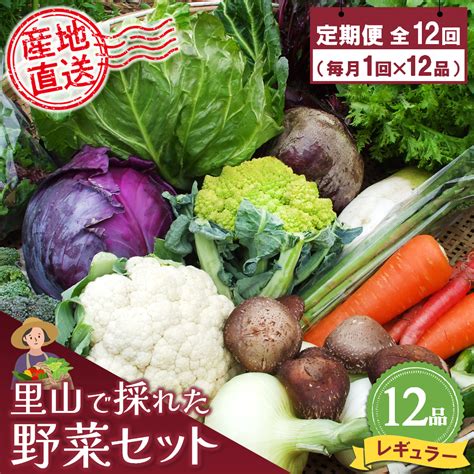 年間定期便12回 里山で採れた野菜セットレギュラー 12品 【有機野菜 おまかせ野菜セット イタリア野菜 西洋野菜 定期便】h078106