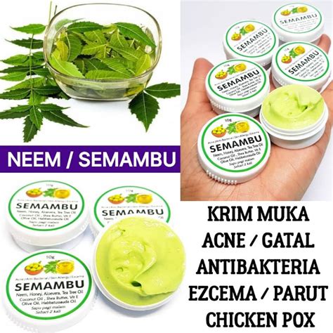 Neem Semambu Masalah Kulit Gatal Itchy Problem Skin Acne Jerawat