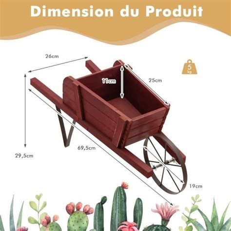 COSTWAY Brouette Décorative en Bois pour Plantes Accessoires