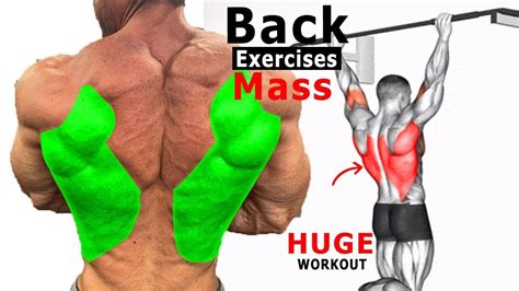 Full Exercise Back For Git Wide Back Best Back Workout تمارين الظهر Youtube Back Exercises